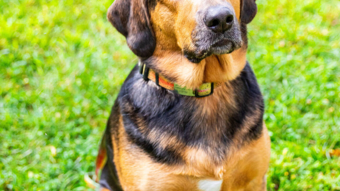 Ruby